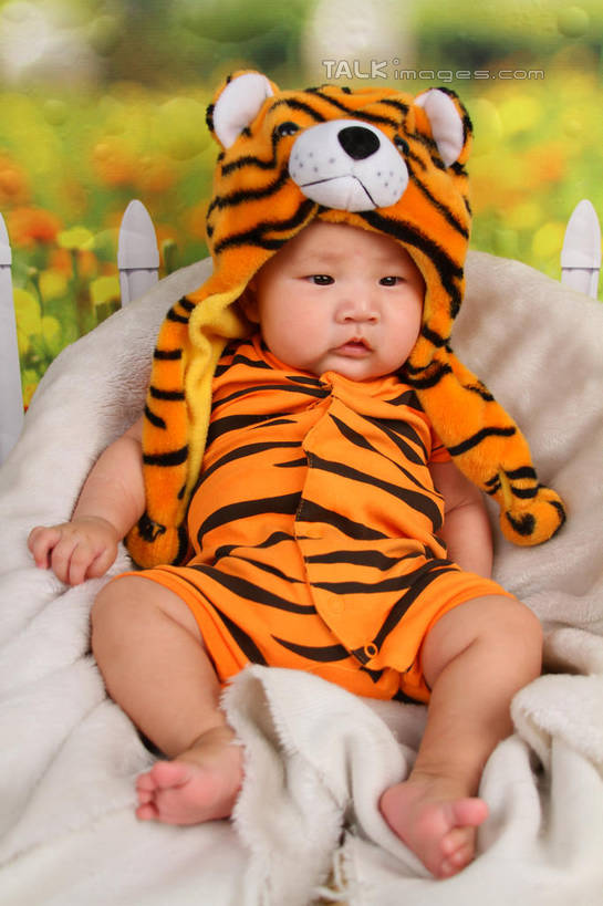 东方人,婴儿,儿童,一个人,坐,竖图,室内,白天,背景,正面,纯洁,沙发,帽子,纺织品,亚洲,仅一个人,服装,朦胧,模糊,装饰,毛毯,毯子,注视,黄种人,纺织,小孩,衣服,垫子,观察,看,温暖,可爱,摄影,服饰,活泼,影棚,观看,华丽,修饰,点缀,察看,衣着,穿着,关注,宝宝,表演服,演出服,布艺沙发,纯真,烂漫,无邪,衬托,美观,雅致,雅观,衣饰,道具服,伶俐,天真,亚洲人,孩子,老虎,坐着,布景,彩图,全身,影棚拍摄,拍摄,shsc1