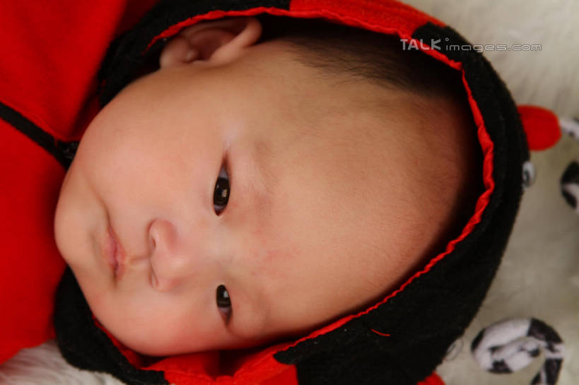 东方人,婴儿,儿童,脸,头,脸颊,一个人,躺,横图,俯视,室内,特写,白天,背景,纯洁,地毯,瓢虫,帽子,亚洲,仅一个人,服装,装饰,编织,手工艺品,织物,注视,黄种人,小孩,衣服,红色,工艺品,观察,看,可爱,摄影,服饰,活泼,影棚,观看,华丽,修饰,点缀,察看,衣着,穿着,关注,宝宝,表演服,演出服,纯真,烂漫,无邪,衬托,美观,雅致,雅观,衣饰,道具服,卧着,伶俐,天真,亚洲人,孩子,头部,脸部,脸蛋,面部,躺着,卧,半身,布景,彩图,高角度拍摄,影棚拍摄,拍摄,shsc1