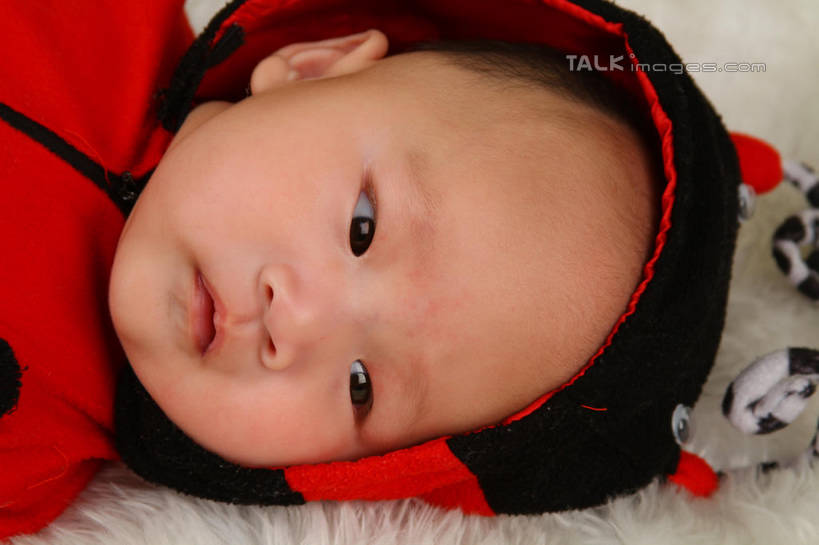 东方人,婴儿,儿童,脸,头,脸颊,一个人,躺,横图,俯视,室内,特写,白天,背景,纯洁,地毯,瓢虫,帽子,亚洲,仅一个人,服装,装饰,编织,手工艺品,织物,注视,黄种人,小孩,衣服,红色,工艺品,观察,看,可爱,摄影,服饰,活泼,影棚,观看,华丽,修饰,点缀,察看,衣着,穿着,关注,宝宝,表演服,演出服,纯真,烂漫,无邪,衬托,美观,雅致,雅观,衣饰,道具服,卧着,伶俐,天真,亚洲人,孩子,头部,脸部,脸蛋,面部,躺着,卧,半身,布景,彩图,高角度拍摄,影棚拍摄,拍摄,shsc1