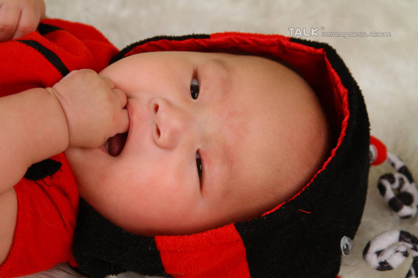 东方人,婴儿,儿童,脸,头,脸颊,手,一个人,躺,横图,俯视,室内,特写,白天,背景,纯洁,地毯,瓢虫,帽子,亚洲,仅一个人,咬,服装,装饰,编织,手工艺品,织物,注视,黄种人,小孩,衣服,红色,工艺品,观察,看,手部,可爱,摄影,服饰,活泼,影棚,观看,单手,华丽,修饰,点缀,咬着,察看,衣着,穿着,关注,宝宝,表演服,演出服,纯真,烂漫,无邪,衬托,美观,雅致,雅观,衣饰,道具服,卧着,伶俐,天真,亚洲人,孩子,头部,脸部,脸蛋,面部,躺着,卧,半身,布景,彩图,高角度拍摄,影棚拍摄,拍摄,shsc1