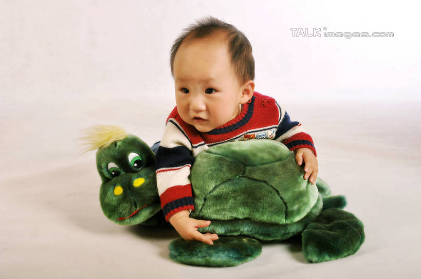 东方人,婴儿,儿童,头发,一个人,横图,室内,白天,正面,毛衣,纯洁,玩具,亚洲,仅一个人,握,粉色背景,格子,娃娃,玩偶,拿,拿着,注视,黄种人,小孩,红色,黑色,观察,看,趴着,张嘴,可爱,凝视,握着,摄影,活泼,影棚,观看,察看,毛发,关注,绿毛龟,乌黑,宝宝,张大嘴巴,纯真,烂漫,无邪,乌龟,伶俐,天真,男孩,亚洲人,孩子,张开嘴,趴,彩图,全身,影棚拍摄,绒衣,套衫,套头毛衣,线衣,拍摄,shsc1