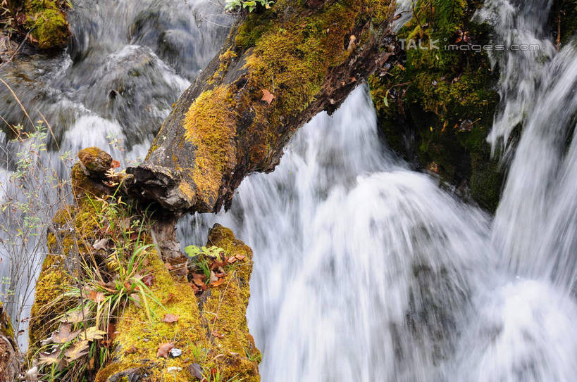 无人,横图,俯视,室外,白天,旅游,度假,草地,草坪,河流,美景,树林,水,植物,叶子,九寨沟,中国,亚洲,飞溅,枯萎,溅,液体,河水,景观,水滴,水流,枯枝,娱乐,水珠,草,树,树干,树木,绿色,自然,享受,休闲,景色,放松,四川省,生长,成长,喷洒,自然风光,东亚,四川,阿坝,中华人民共和国,西南地区,阿坝藏族羌族自治州,阿坝州,川,九寨沟县,叶,叶片,彩图,高角度拍摄,shsgf1