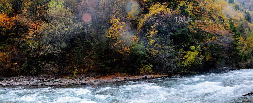 无人,横图,室外,白天,正面,旅游,度假,草地,草坪,河流,美景,山,山脉,树林,水,植物,叶子,中国,亚洲,飞溅,溅,液体,河水,景观,山峰,水滴,水花,水流,山峦,娱乐,水珠,草,树,树木,绿色,自然,群山,享受,休闲,景色,放松,四川省,生长,成长,喷洒,自然风光,东亚,四川,阿坝,中华人民共和国,西南地区,阿坝藏族羌族自治州,阿坝州,川,理县,米亚罗,米亚罗风景区,叶,叶片,彩图,shsgf1