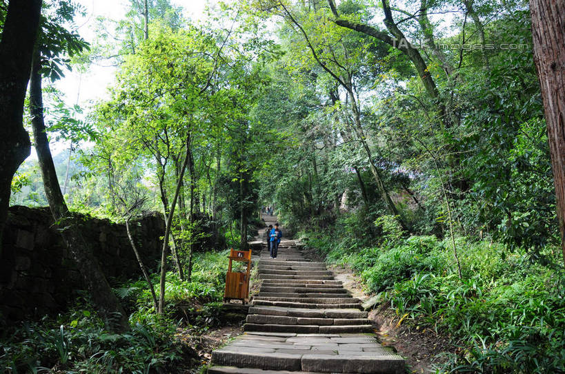 东方人,两个人,走,横图,室外,白天,仰视,旅游,度假,草地,草坪,美景,山,树林,植物,都江堰,青城山,中国,亚洲,游客,游人,房屋,阶梯,屋子,景观,山峰,垃圾桶,山峦,古典,黄种人,娱乐,旅客,台阶,草,树,树木,绿色,天空,自然,天,享受,休闲,石阶,景色,放松,四川省,生长,成长,自然风光,古朴,东亚,四川,中华人民共和国,西南地区,川,都江堰风景区,都江堰市,男人,男性,女人,女性,中年男性,中年女性,亚洲人,步行,散步,走路,彩图,低角度拍摄,全身,房子,shsgf1