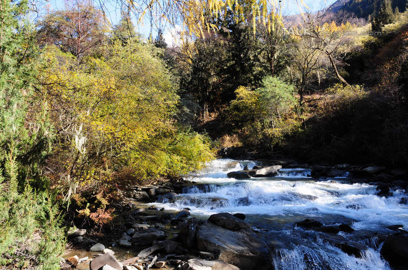 无人,横图,室外,白天,正面,旅游,度假,草地,草坪,河流,石头,美景,山,树林,水,雪,雪山,植物,大雪,中国,亚洲,阴影,光线,石子,影子,河水,积雪,景观,山峰,水流,雪景,冬天,山峦,娱乐,草,树,树木,蓝色,绿色,蓝天,天空,小溪,阳光,自然,天,溪水,享受,休闲,景色,放松,四川省,生长,成长,自然风光,东亚,四川,阿坝,中华人民共和国,西南地区,阿坝藏族羌族自治州,阿坝州,长坪沟,川,四姑娘山,石块,岩石,彩图,shsgf1