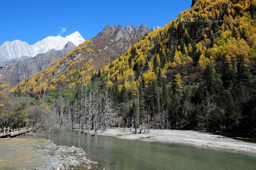 无人,栏杆,横图,室外,白天,正面,旅游,度假,草地,草坪,河流,美景,山,树林,水,雪,雪山,植物,大雪,中国,亚洲,阴影,光线,影子,河水,积雪,景观,山峰,水流,雪景,冬天,围栏,山峦,娱乐,护栏,草,树,树干,树木,蓝色,绿色,蓝天,天空,阳光,自然,天,享受,休闲,景色,放松,四川省,生长,成长,自然风光,东亚,四川,阿坝,中华人民共和国,西南地区,阿坝藏族羌族自治州,阿坝州,长坪沟,川,四姑娘山,彩图,shsgf1