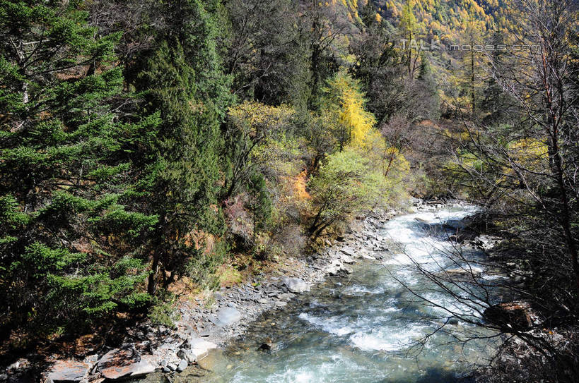 无人,横图,室外,白天,正面,旅游,度假,草地,草坪,河流,美景,山,树林,水,雪,雪山,植物,大雪,中国,亚洲,阴影,光线,影子,河水,积雪,景观,山峰,水花,水流,雪景,冬天,山峦,娱乐,草,树,树木,绿色,阳光,自然,享受,休闲,景色,放松,四川省,生长,成长,自然风光,东亚,四川,阿坝,中华人民共和国,西南地区,阿坝藏族羌族自治州,阿坝州,长坪沟,川,四姑娘山,彩图,shsgf1