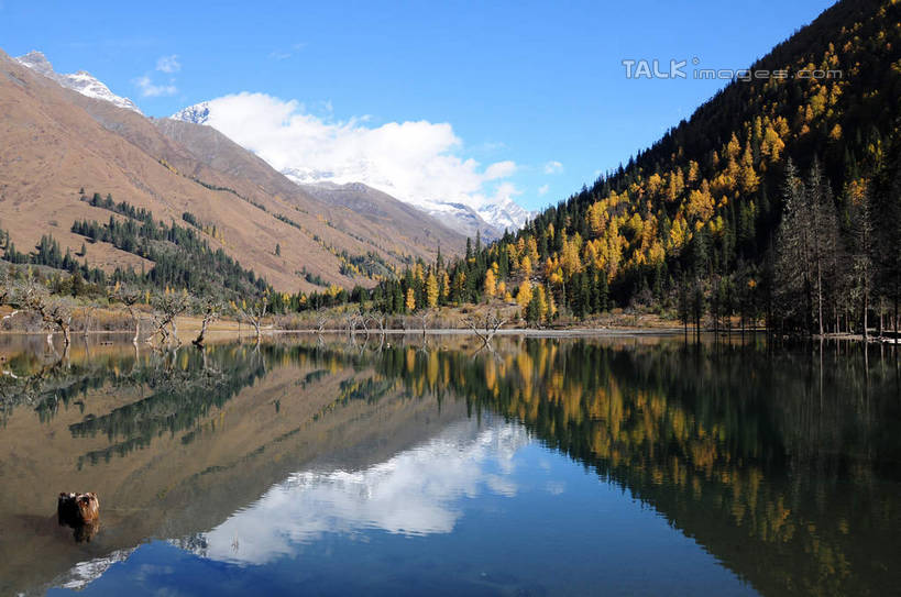 无人,横图,室外,白天,正面,旅游,度假,草地,草坪,湖,湖泊,美景,山,树林,水,雪,雪山,植物,大雪,中国,亚洲,阴影,反射,光线,影子,湖面,积雪,景观,山峰,水流,水面,雪景,云,云朵,冬天,山峦,云彩,娱乐,草,树,树干,树木,蓝色,绿色,白云,倒影,蓝天,天空,阳光,自然,湖水,天,享受,休闲,景色,放松,四川省,生长,成长,自然风光,东亚,四川,阿坝,中华人民共和国,西南地区,阿坝藏族羌族自治州,阿坝州,川,双桥沟,四姑娘山,彩图,shsgf1