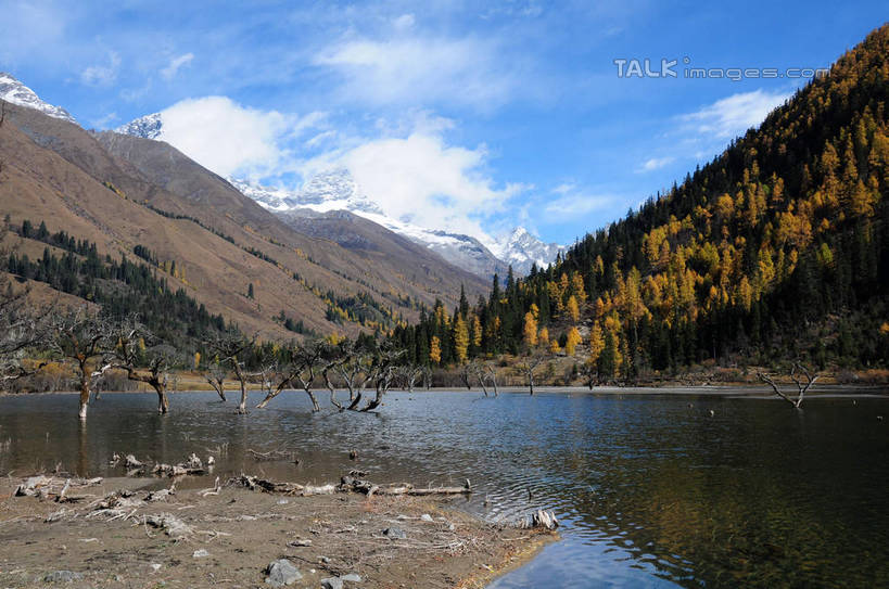 无人,横图,室外,白天,正面,旅游,度假,草地,草坪,湖,湖泊,美景,山,树林,水,雪,雪山,植物,大雪,中国,亚洲,阴影,反射,光线,影子,湖面,积雪,景观,山峰,水流,水面,雪景,云,云朵,冬天,山峦,云彩,娱乐,草,树,树干,树木,蓝色,绿色,白云,倒影,蓝天,天空,阳光,自然,湖水,天,享受,休闲,景色,放松,四川省,生长,成长,自然风光,东亚,四川,阿坝,中华人民共和国,西南地区,阿坝藏族羌族自治州,阿坝州,川,双桥沟,四姑娘山,彩图,shsgf1
