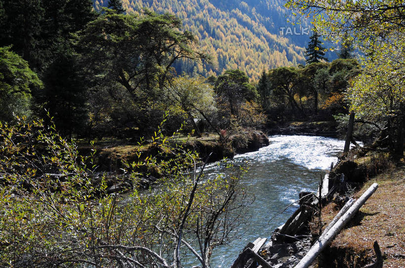 无人,横图,室外,白天,正面,旅游,度假,草地,草坪,河流,美景,山,树林,水,雪,雪山,植物,大雪,中国,亚洲,阴影,枯萎,光线,影子,河水,积雪,景观,山峰,水花,水流,雪景,云,云朵,冬天,枯草,山峦,云彩,娱乐,草,树,树木,蓝色,绿色,白云,蓝天,天空,阳光,自然,天,享受,休闲,景色,放松,四川省,生长,成长,自然风光,东亚,四川,阿坝,中华人民共和国,西南地区,阿坝藏族羌族自治州,阿坝州,川,双桥沟,四姑娘山,彩图,shsgf1
