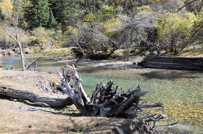无人,横图,俯视,室外,白天,旅游,度假,草地,草坪,河流,美景,山,树林,水,雪,雪山,植物,大雪,中国,亚洲,阴影,枯萎,光线,影子,河水,积雪,景观,山峰,水流,雪景,云,云朵,冬天,枯枝,山峦,云彩,娱乐,草,树,树干,树木,蓝色,绿色,白云,蓝天,天空,阳光,自然,天,享受,休闲,景色,放松,四川省,生长,成长,自然风光,东亚,四川,阿坝,中华人民共和国,西南地区,阿坝藏族羌族自治州,阿坝州,川,双桥沟,四姑娘山,彩图,高角度拍摄,shsgf1