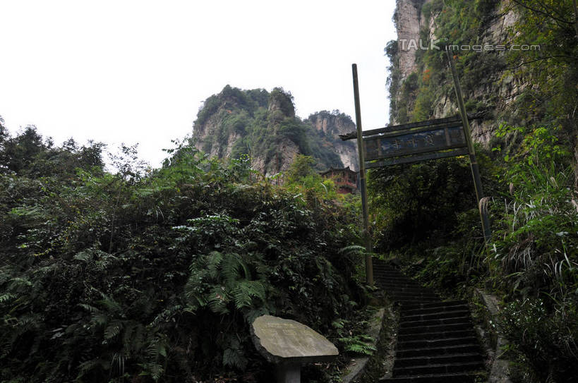 无人,横图,室外,白天,仰视,旅游,度假,美景,山,植物,楼梯,门,雕塑,张家界,中国,亚洲,艺术,装饰,标志,雕刻,雕像,文字,字符,阶梯,景观,山峰,山峦,娱乐,标识,台阶,树,树木,绿色,天空,自然,工艺品,门框,天,享受,休闲,石阶,汉字,景色,放松,生长,成长,纪念,美术,中文,自然风光,主题,陈列,东亚,湖南,湖南省,中华人民共和国,功能,美学,国文,华文,华中地区,湘,张家界市,武陵源区,宝峰湖,彩图,低角度拍摄,shsgf1