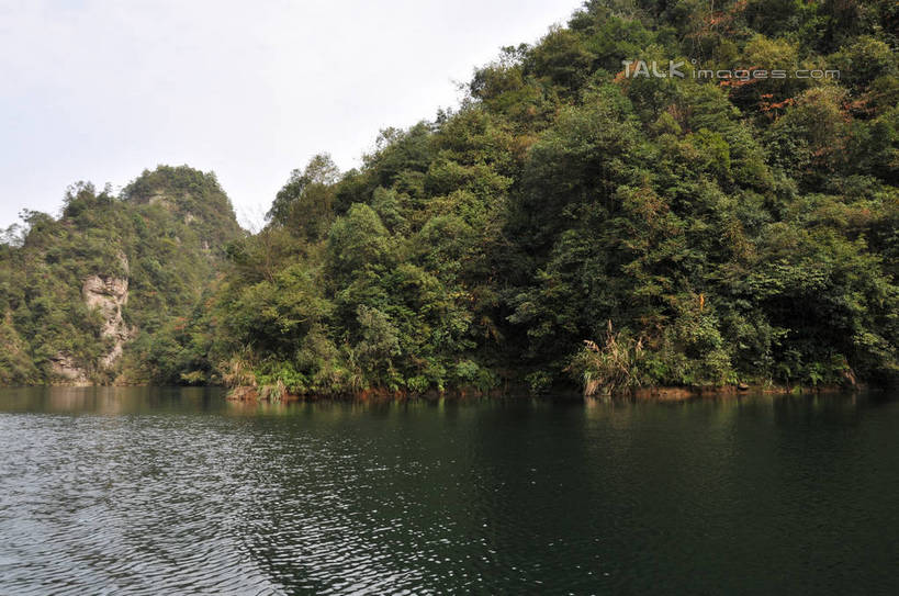 无人,横图,室外,白天,正面,旅游,度假,湖,湖泊,美景,山,水,植物,张家界,中国,亚洲,阴影,光线,影子,湖面,景观,山峰,水流,水面,山峦,娱乐,树,树木,绿色,天空,阳光,自然,湖水,天,享受,休闲,景色,放松,生长,成长,波光粼粼,自然风光,东亚,湖南,湖南省,中华人民共和国,华中地区,湘,张家界市,武陵源区,宝峰湖,彩图,shsgf1