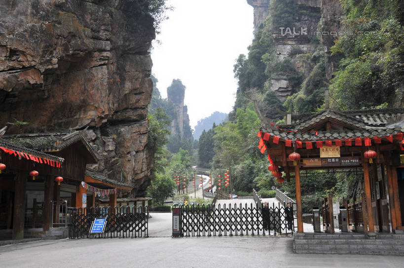 无人,横图,室外,白天,正面,旅游,度假,美景,山,植物,楼梯,照明,张家界,中国,亚洲,许多,吊挂,悬挂,标志,灯笼,牌匾,瓦片,文字,纸灯笼,字符,阶梯,屋檐,景观,山峰,地面,山峦,挂,娱乐,标识,檐,台阶,树,树木,红色,绿色,天空,自然,灯具,天,享受,休闲,汉字,景色,放松,生长,成长,照亮,照明设备,中文,自然风光,东亚,湖南,湖南省,中华人民共和国,国文,华文,华中地区,湘,张家界市,武陵源区,宝峰湖,彩图,shsgf1