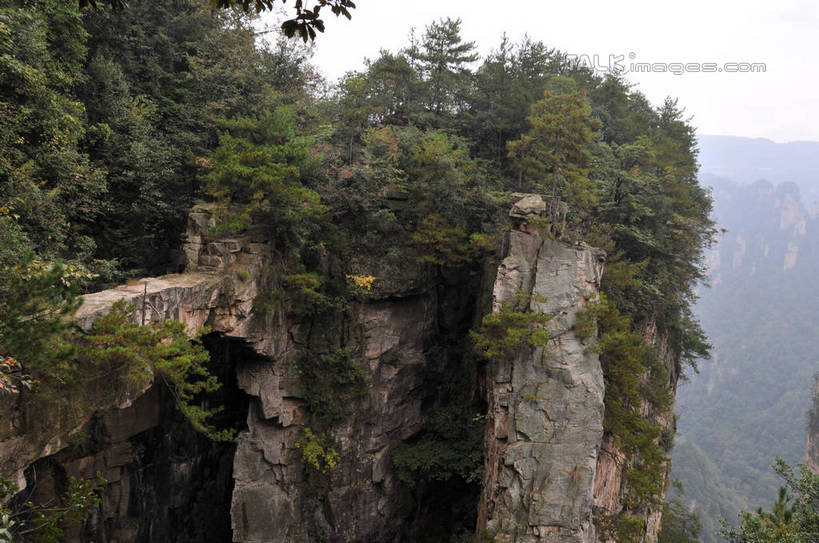 无人,横图,俯视,室外,白天,旅游,度假,石头,美景,山,植物,张家界,中国,亚洲,石子,景观,山峰,悬崖,山峦,娱乐,树,树木,绿色,天空,自然,天,享受,休闲,景色,放松,生长,成长,自然风光,东亚,湖南,湖南省,天子山,中华人民共和国,绝壁,华中地区,湘,张家界市,武陵源区,大观台,石块,岩石,彩图,高角度拍摄,shsgf1