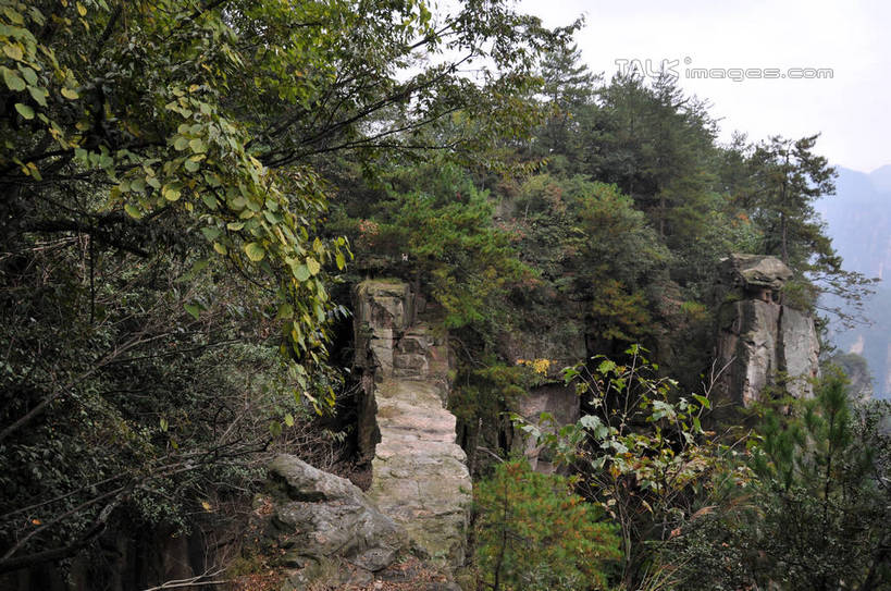 无人,横图,俯视,室外,白天,旅游,度假,美景,山,植物,张家界,中国,亚洲,景观,山峰,悬崖,山峦,娱乐,树,树木,绿色,天空,自然,天,享受,休闲,景色,放松,生长,成长,自然风光,东亚,湖南,湖南省,天子山,中华人民共和国,绝壁,华中地区,湘,张家界市,武陵源区,大观台,彩图,高角度拍摄,shsgf1