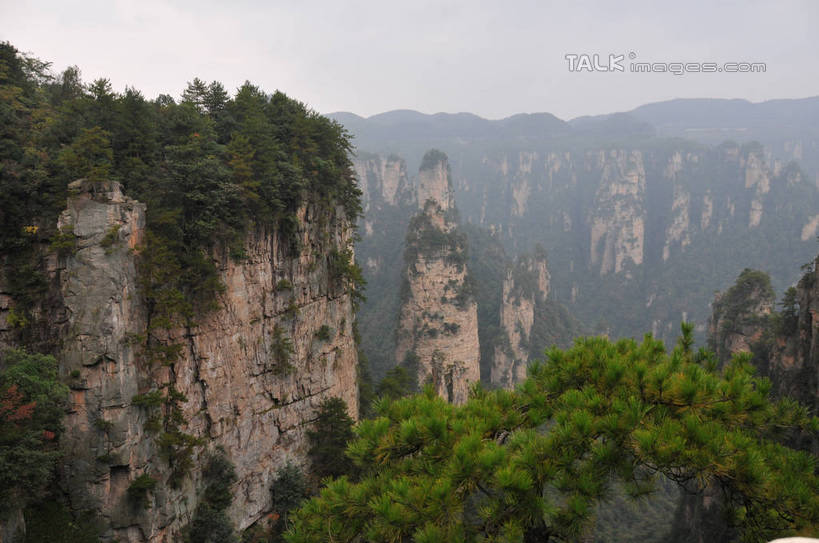 无人,横图,俯视,室外,白天,旅游,度假,美景,山,植物,松树,张家界,中国,亚洲,景观,山峰,悬崖,山峦,娱乐,树,树木,绿色,天空,自然,天,享受,休闲,景色,放松,生长,成长,自然风光,坚定,东亚,湖南,湖南省,天子山,中华人民共和国,长寿,贞洁,绝壁,华中地区,湘,张家界市,武陵源区,大观台,彩图,高角度拍摄,shsgf1