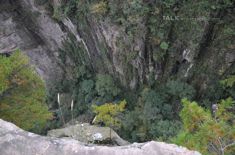 无人,横图,俯视,室外,白天,旅游,度假,石头,美景,山,植物,张家界,中国,亚洲,石子,景观,山峰,悬崖,山峦,野草,娱乐,树,树木,绿色,天空,自然,天,享受,休闲,景色,放松,生长,成长,自然风光,东亚,湖南,湖南省,天子山,中华人民共和国,绝壁,华中地区,湘,张家界市,武陵源区,大观台,石块,岩石,彩图,高角度拍摄,shsgf1