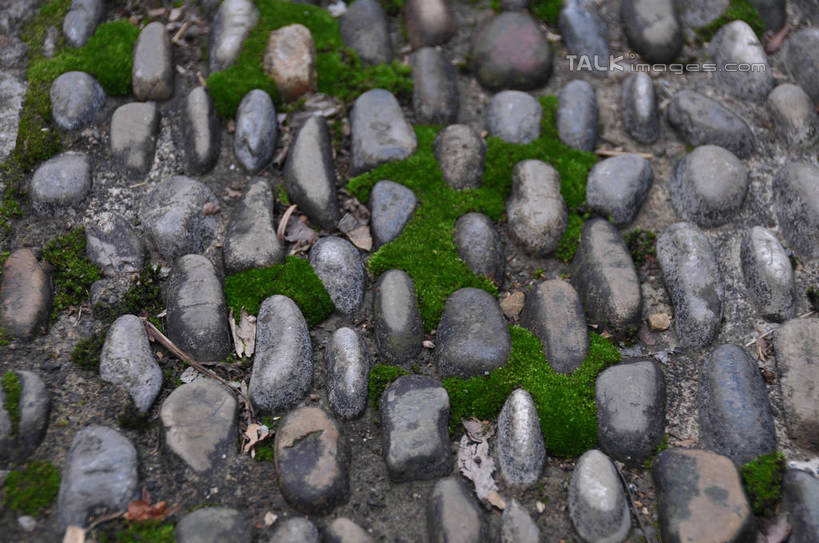 无人,横图,俯视,室外,白天,旅游,度假,石头,美景,山,植物,道路,路,叶子,张家界,中国,亚洲,许多,石子,景观,山峰,小路,青苔,枯叶,落叶,苔藓,交通,山峦,凌乱,娱乐,树,树木,排列,绿色,自然,享受,休闲,鹅卵石,景色,放松,生长,成长,杂乱,队列,自然风光,按摩石,东亚,湖南,湖南省,天子山,中华人民共和国,华中地区,湘,张家界市,武陵源区,大观台,叶,叶片,石块,彩图,高角度拍摄,shsgf1