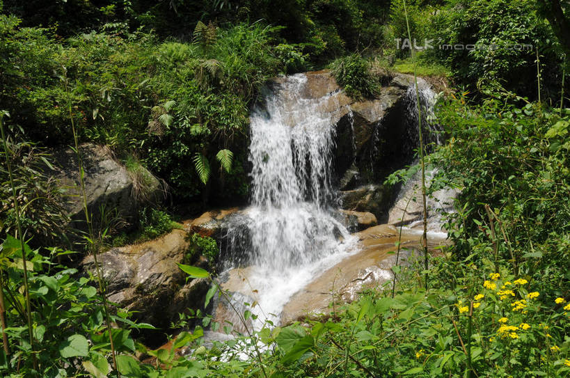 无人,横图,俯视,室外,白天,旅游,度假,草地,草坪,花海,花圃,石头,美景,瀑布,水,植物,叶子,中国,亚洲,阴影,飞溅,盛开,溅,光线,石子,液体,影子,景观,水滴,花蕾,娱乐,浙江,水珠,草,花,花瓣,花朵,花卉,鲜花,树,树木,浙江省,绿色,阳光,自然,花丛,花束,花田,花苞,花蕊,享受,休闲,景色,放松,生长,成长,喷洒,自然风光,东亚,中华人民共和国,华东地区,浙,丽水,丽水市,南尖岩,遂昌,南尖岩景区,遂昌县,跌水,石块,岩石,彩图,高角度拍摄,shsgf1