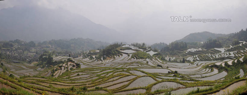 无人,农田,横图,俯视,室外,白天,旅游,度假,庄稼,梯田,农作物,草地,草坪,美景,山,山脉,植物,雾,中国,亚洲,朦胧,模糊,曲折,弯曲,景观,山峰,山峦,娱乐,浙江,草,树,树木,浙江省,绿色,自然,群山,享受,休闲,景色,放松,蜿蜒,生长,成长,迷雾,自然风光,东亚,中华人民共和国,华东地区,浙,丽水,丽水市,南尖岩,遂昌,南尖岩景区,遂昌县,大雾,彩图,高角度拍摄,耕地,庄稼田,shsgf1