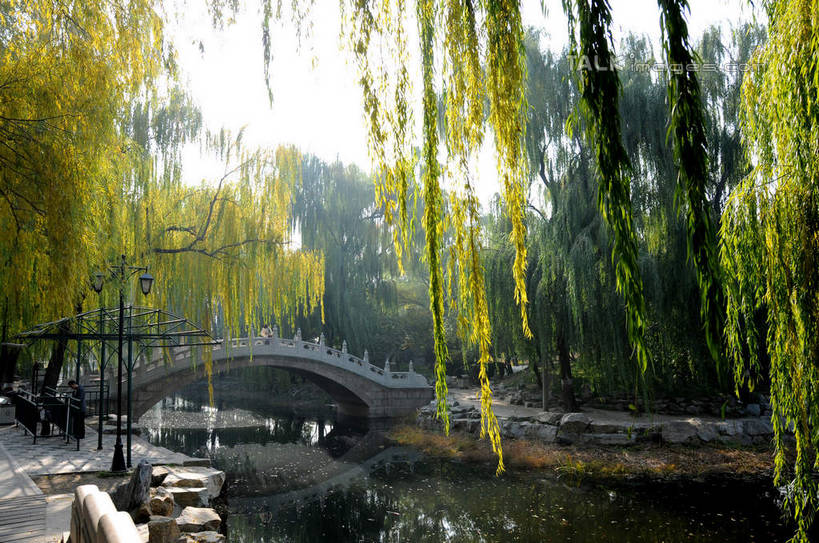 无人,公园,横图,室外,白天,正面,旅游,度假,湖,湖泊,石头,名胜古迹,水,植物,标志建筑,地标,建筑,柳树,北京,圆明园,中国,亚洲,阴影,波纹,遗迹,光线,石子,影子,湖面,水流,水面,桥,涟漪,首都,古迹,文物,娱乐,建设,古建筑,石桥,垂柳,拱桥,栈桥,树,树木,绿色,倒影,水纹,天空,阳光,自然,波浪,湖水,天,享受,休闲,旅游胜地,放松,拱形,生长,成长,人行桥,石拱桥,倒映,古文明,东亚,海淀区,中华人民共和国,北京市,京,北平,华北地区,水晕,倒挂柳,反照,石块,垂枝柳,彩图,圆明园遗址,圆明园遗址公园,shsgf1