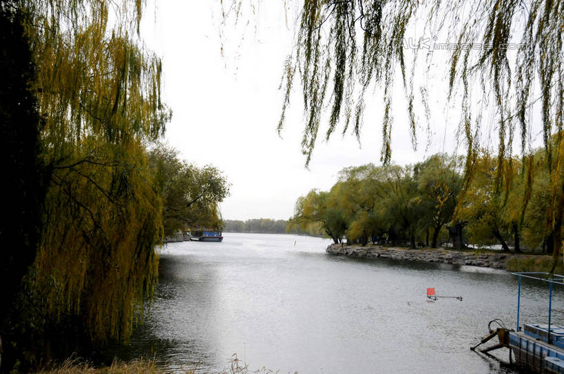 无人,颐和园,宫殿,横图,室外,白天,正面,旅游,度假,湖,湖泊,名胜古迹,树林,水,植物,标志建筑,地标,建筑,柳树,北京,中国,亚洲,波纹,遗迹,湖面,水流,水面,涟漪,首都,古迹,文物,娱乐,建设,古建筑,垂柳,树,树木,绿色,倒影,水纹,天空,自然,波浪,湖水,天,享受,休闲,旅游胜地,放松,生长,成长,倒映,权利,古文明,东亚,海淀区,中华人民共和国,北京市,京,北平,华北地区,水晕,皇家园林,倒挂柳,反照,清漪园,垂枝柳,彩图,shsgf1