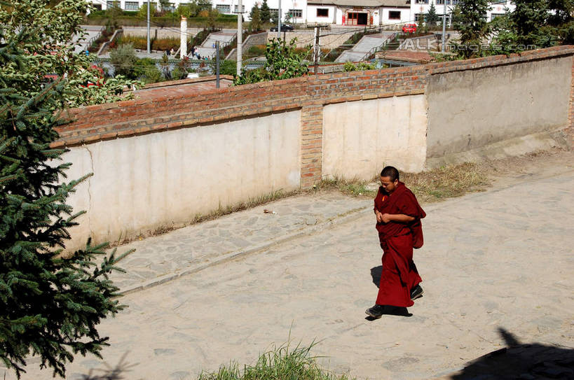 东方人,一个人,和尚,寺庙,走,横图,俯视,室外,白天,民族服装,旅游,度假,名胜古迹,植物,标志建筑,地标,建筑,中国,亚洲,仅一个男性,仅一个人,阴影,服装,节日,遗迹,光线,影子,墙,黄种人,古迹,文化,文物,娱乐,建设,古建筑,墙壁,墙面,树,树木,仅一个年轻男性,衣服,绿色,阳光,自然,庙宇,祈祷,享受,休闲,健康,旅游胜地,放松,许愿,宗教,服饰,佛教,信仰,生长,成长,纪念,祈求,衣着,穿着,古文明,东亚,喇嘛,青海,青海省,塔尔寺,鲁沙尔镇,西宁,中华人民共和国,省会,西北地区,西宁市,青,衣饰,释教,县城,湟中,湟中县,平安,男人,男性,年轻男性,亚洲人,比丘,高僧,僧,僧侣,僧人,沙弥,修行僧,步行,散步,走路,彩图,高角度拍摄,全身,传统服装,民俗服,庙,寺,shsgf1