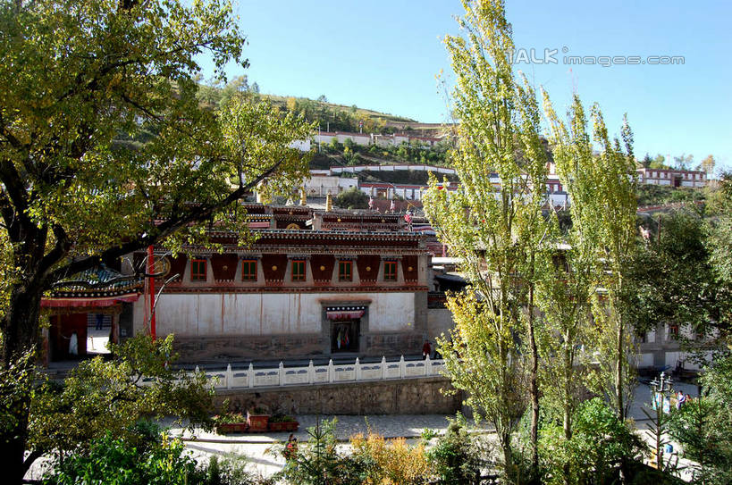 无人,寺庙,横图,室外,白天,正面,旅游,度假,名胜古迹,山,山脉,植物,标志建筑,地标,建筑,中国,亚洲,阴影,节日,遗迹,光线,影子,山峰,山峦,古迹,文化,文物,娱乐,建设,古建筑,树,树木,蓝色,绿色,蓝天,天空,阳光,自然,庙宇,群山,天,祈祷,享受,休闲,健康,旅游胜地,放松,许愿,宗教,佛教,信仰,生长,晴朗,成长,纪念,祈求,古文明,东亚,青海,青海省,塔尔寺,鲁沙尔镇,西宁,万里无云,中华人民共和国,省会,西北地区,西宁市,青,释教,县城,湟中,湟中县,平安,晴空,晴空万里,彩图,庙,寺,shsgf1