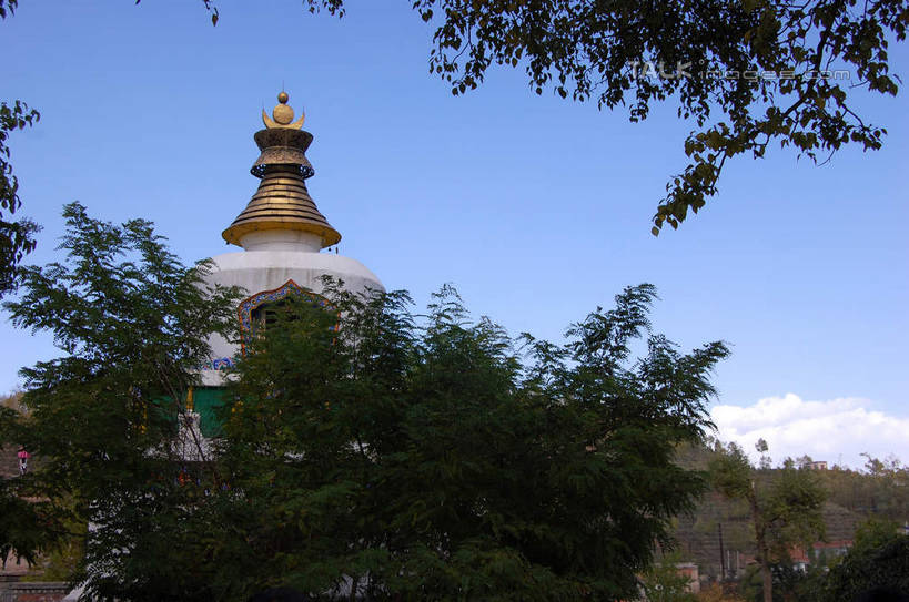 无人,寺庙,横图,室外,白天,正面,旅游,度假,名胜古迹,植物,标志建筑,地标,建筑,中国,亚洲,阴影,节日,遗迹,光线,影子,云,云朵,云彩,古迹,文化,文物,娱乐,建设,古建筑,树,树木,蓝色,绿色,白云,蓝天,天空,阳光,自然,庙宇,天,祈祷,享受,休闲,健康,旅游胜地,放松,许愿,宗教,佛教,信仰,生长,晴朗,成长,纪念,祈求,古文明,东亚,青海,青海省,塔尔寺,鲁沙尔镇,西宁,中华人民共和国,省会,西北地区,西宁市,青,释教,县城,湟中,湟中县,平安,晴空,彩图,庙,寺,shsgf1