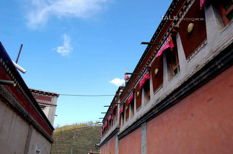 无人,寺庙,横图,室外,白天,仰视,旅游,度假,名胜古迹,山,山脉,植物,标志建筑,地标,建筑,中国,亚洲,阴影,节日,遗迹,光线,影子,山峰,云,云朵,山峦,云彩,古迹,文化,文物,娱乐,建设,古建筑,树,树木,蓝色,绿色,白云,蓝天,天空,阳光,自然,庙宇,群山,天,祈祷,享受,休闲,健康,旅游胜地,放松,许愿,宗教,佛教,信仰,生长,晴朗,成长,纪念,祈求,古文明,东亚,青海,青海省,塔尔寺,鲁沙尔镇,西宁,中华人民共和国,省会,西北地区,西宁市,青,释教,县城,湟中,湟中县,平安,晴空,彩图,低角度拍摄,庙,寺,shsgf1