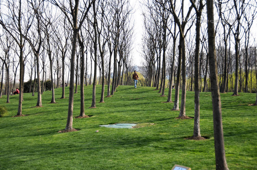 无人,公园,横图,室外,白天,正面,旅游,度假,草地,草坪,美景,植物,上海,中国,亚洲,一排,整齐,并列,并排,景观,娱乐,草,树,树木,排列,绿色,天空,自然,天,享受,休闲,景色,放松,生长,成长,申,队列,自然风光,平行,东亚,闵行区,上海市,闵行体育公园,中华人民共和国,沪,华东地区,彩图,shsgf1