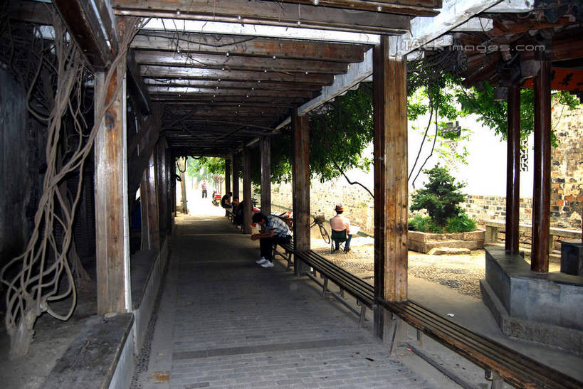 无人,家,栏杆,横图,室外,白天,正面,旅游,度假,美景,植物,城市风光,城市,建筑,中国,亚洲,阴影,光线,影子,房屋,屋子,景观,公寓,围栏,走道,走廊,过道,娱乐,建设,江苏,苏州,洋房,护栏,楼房,住宅,树,树木,绿色,阳光,自然,享受,休闲,景色,放松,生长,成长,东亚,江苏省,平江路,苏州市,中华人民共和国,华东地区,苏,彩图,房子,平江,平江区,shsgf1