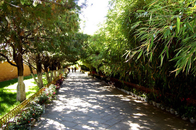 无人,寺庙,横图,室外,白天,正面,旅游,度假,名胜古迹,植物,标志建筑,道路,地标,建筑,路,中国,亚洲,阴影,节日,遗迹,光线,影子,小路,交通,古迹,文化,文物,娱乐,建设,古建筑,拉萨,西藏,树,树木,绿色,天空,阳光,自然,庙宇,天,祈祷,享受,休闲,健康,旅游胜地,放松,许愿,宗教,佛教,信仰,生长,成长,纪念,祈求,藏,古文明,东亚,西藏自治区,八角街,首府,中华人民共和国,大昭寺,西南地区,拉萨市,释教,八廓街,平安,彩图,庙,寺,shsgf1