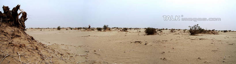 无人,横图,室外,白天,正面,旅游,度假,荒凉,美景,中国,亚洲,景观,树桩,娱乐,树,树干,蓝色,蓝天,天空,自然,天,享受,休闲,木桩,景色,放松,晴朗,自然风光,东亚,新疆,阿克苏,阿克苏市,万里无云,中华人民共和国,新疆维吾尔自治区,西北地区,荒地,荒芜,晴空,晴空万里,彩图,阿克苏地区,新,shsgf1