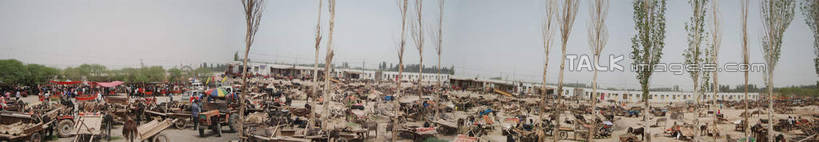 东方人,走,横图,室外,白天,正面,旅游,度假,农业,美景,植物,汽车,马,野生动物,中国,亚洲,行人,游客,游人,服装,景观,许多人,休闲装,黄种人,娱乐,路人,旅客,车,树,树木,衣服,绿色,天空,自然,动物,交通工具,天,一群人,享受,休闲,休闲服,机械,景色,放松,运输,服饰,牲畜,生长,成长,自然风光,载具,拖拉机,东亚,新疆,阿克苏,阿克苏市,中华人民共和国,新疆维吾尔自治区,西北地区,交通运输,农用机械,过客,男人,男性,年轻男性,年轻女性,女人,女性,亚洲人,步行,散步,走路,彩图,全身,阿克苏地区,新,shsgf1