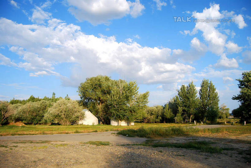 无人,横图,室外,白天,正面,旅游,度假,草地,草坪,美景,植物,喀纳斯,中国,亚洲,阴影,光线,影子,景观,云,云朵,云彩,娱乐,草,树,树木,蓝色,绿色,白云,蓝天,天空,阳光,自然,天,享受,休闲,景色,放松,生长,晴朗,成长,自然风光,东亚,喀纳斯湖,新疆,阿勒泰地区,布尔津县,伊犁,中华人民共和国,新疆维吾尔自治区,西北地区,伊犁哈萨克自治州,晴空,彩图,布尔津,新,shsgf1