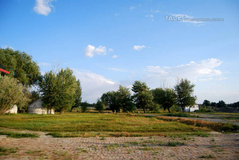 无人,横图,室外,白天,正面,旅游,度假,草地,草坪,美景,植物,喀纳斯,中国,亚洲,阴影,光线,影子,景观,云,云朵,云彩,娱乐,草,树,树木,蓝色,绿色,白云,蓝天,天空,阳光,自然,天,享受,休闲,景色,放松,生长,晴朗,成长,自然风光,东亚,喀纳斯湖,新疆,阿勒泰地区,布尔津县,伊犁,中华人民共和国,新疆维吾尔自治区,西北地区,伊犁哈萨克自治州,晴空,彩图,布尔津,新,shsgf1