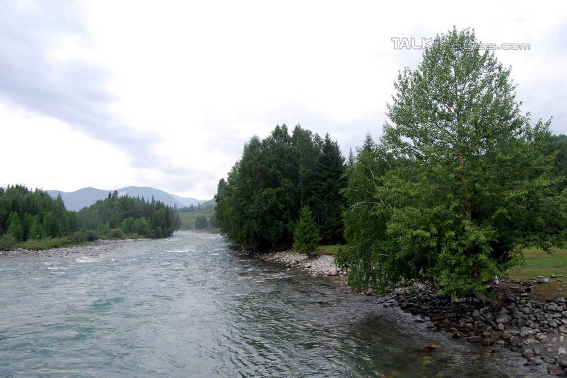 无人,横图,室外,白天,正面,旅游,度假,草地,草坪,河流,美景,森林,树林,水,植物,喀纳斯,中国,亚洲,波纹,河水,景观,水流,涟漪,娱乐,草,树,树木,绿色,倒影,水纹,天空,自然,波浪,天,享受,休闲,景色,放松,生长,成长,倒映,自然风光,东亚,喀纳斯湖,新疆,阿勒泰地区,布尔津县,伊犁,中华人民共和国,水晕,新疆维吾尔自治区,西北地区,伊犁哈萨克自治州,反照,彩图,布尔津,新,shsgf1