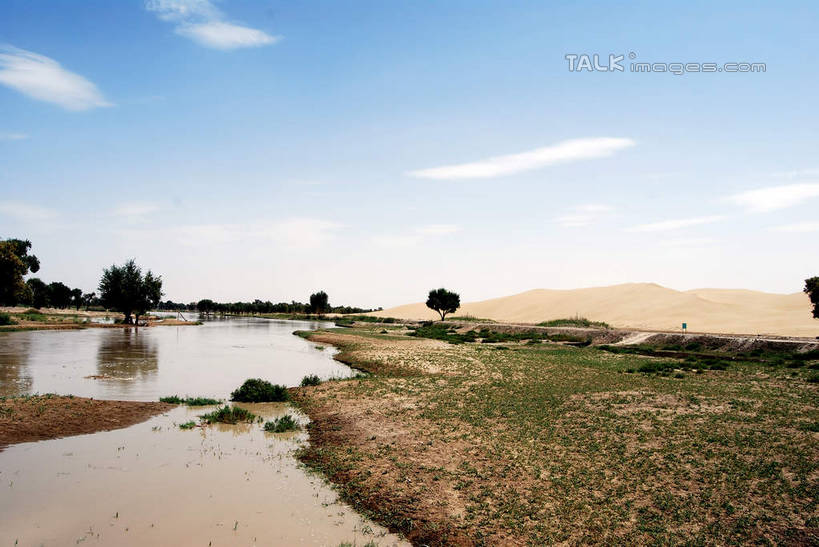 无人,横图,室外,白天,正面,旅游,度假,河流,美景,水,植物,中国,亚洲,阴影,光线,影子,河水,景观,水流,云,云朵,云彩,娱乐,树,树木,蓝色,绿色,白云,倒影,蓝天,天空,阳光,自然,天,享受,休闲,景色,放松,生长,晴朗,成长,倒映,自然风光,东亚,新疆,库尔勒,中华人民共和国,新疆维吾尔自治区,西北地区,巴音郭楞,巴音郭楞蒙古自治州,反照,晴空,彩图,新,shsgf1