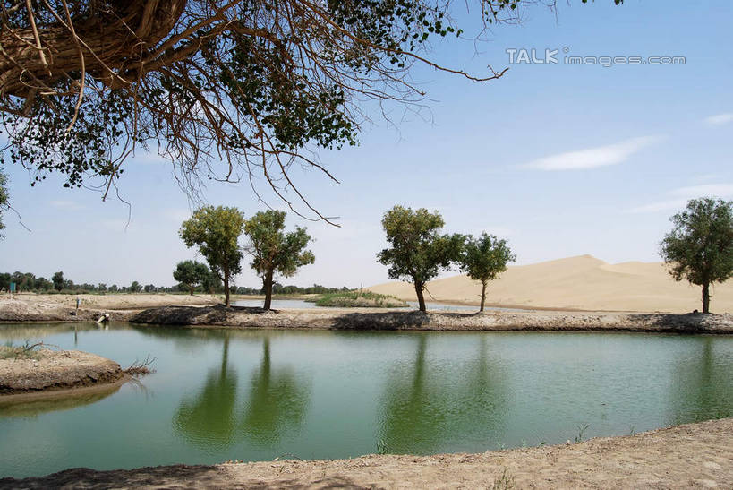 无人,横图,室外,白天,正面,旅游,度假,河流,美景,水,植物,中国,亚洲,阴影,光线,影子,河水,景观,水流,云,云朵,云彩,娱乐,树,树木,蓝色,绿色,白云,倒影,蓝天,天空,阳光,自然,天,享受,休闲,景色,放松,生长,晴朗,成长,倒映,自然风光,东亚,新疆,库尔勒,中华人民共和国,新疆维吾尔自治区,西北地区,巴音郭楞,巴音郭楞蒙古自治州,反照,晴空,彩图,新,shsgf1