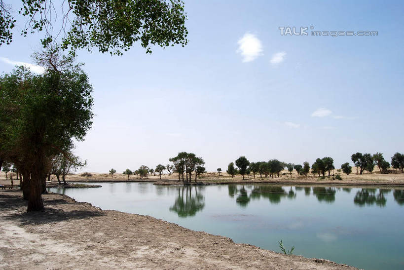 无人,横图,室外,白天,正面,旅游,度假,河流,美景,水,植物,中国,亚洲,阴影,光线,影子,河水,景观,水流,云,云朵,云彩,娱乐,树,树木,蓝色,绿色,白云,倒影,蓝天,天空,阳光,自然,天,享受,休闲,景色,放松,生长,晴朗,成长,倒映,自然风光,东亚,新疆,库尔勒,中华人民共和国,新疆维吾尔自治区,西北地区,巴音郭楞,巴音郭楞蒙古自治州,反照,晴空,彩图,新,shsgf1