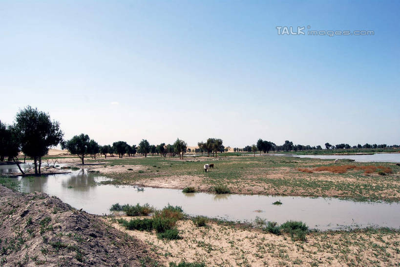 无人,横图,室外,白天,正面,旅游,度假,河流,美景,水,植物,中国,亚洲,阴影,光线,影子,河水,景观,水流,娱乐,树,树木,蓝色,绿色,倒影,蓝天,天空,阳光,自然,天,享受,休闲,景色,放松,生长,晴朗,成长,倒映,自然风光,东亚,新疆,库尔勒,万里无云,中华人民共和国,新疆维吾尔自治区,西北地区,巴音郭楞,巴音郭楞蒙古自治州,反照,晴空,晴空万里,彩图,新,shsgf1