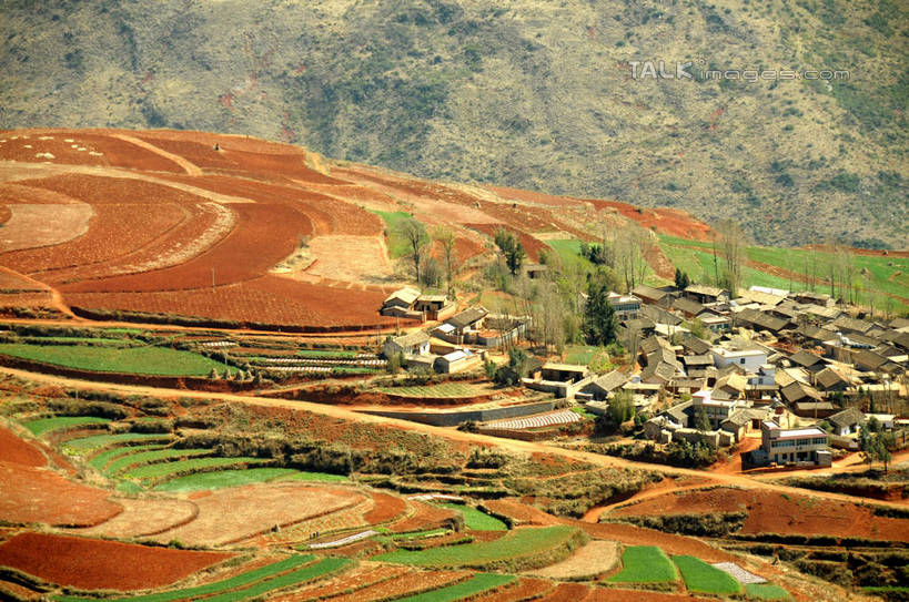无人,家,农田,横图,俯视,航拍,室外,白天,旅游,度假,庄稼,梯田,农作物,美景,植物,昆明,中国,亚洲,阴影,曲折,弯曲,光线,影子,房屋,屋子,景观,娱乐,楼房,云南,住宅,树,树木,绿色,阳光,自然,享受,休闲,景色,放松,蜿蜒,生长,成长,鸟瞰,自然风光,昆明市,东亚,云南省,东川,中华人民共和国,省会,西南地区,滇,彩图,高角度拍摄,耕地,庄稼田,房子,东川红土地,东川区,新田乡,shsgf1