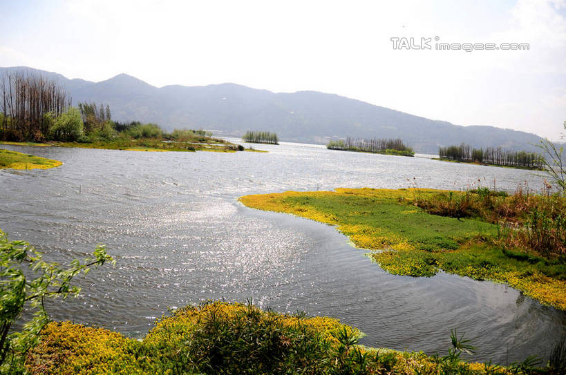 无人,横图,室外,白天,正面,旅游,度假,草地,草坪,湖,湖泊,美景,山,山脉,水,植物,昆明,中国,亚洲,波纹,湖面,景观,山峰,水流,水面,涟漪,山峦,娱乐,云南,草,树,树木,绿色,倒影,水纹,天空,自然,波浪,湖水,群山,天,享受,休闲,景色,放松,生长,成长,淡水湖,倒映,自然风光,昆明市,东亚,云南省,滇池,草海,昆明湖,中华人民共和国,省会,水晕,西南地区,滇,反照,彩图,昆明池,shsgf1