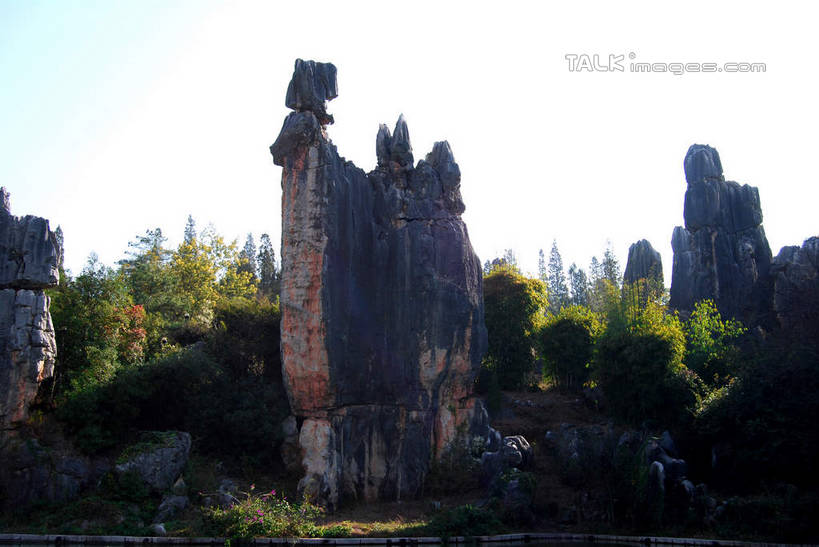 无人,横图,室外,白天,仰视,旅游,度假,石头,美景,山,山脉,石林,植物,昆明,中国,亚洲,石子,景观,山峰,山峦,娱乐,云南,树,树木,绿色,天空,自然,群山,天,享受,休闲,景色,放松,生长,成长,自然风光,昆明市,东亚,云南省,中华人民共和国,省会,西南地区,滇,石林县,石林彝族自治县,石块,岩石,彩图,低角度拍摄,shsgf1