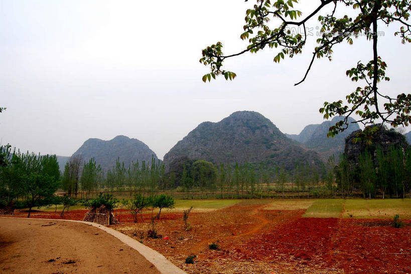 无人,横图,室外,白天,正面,旅游,度假,草地,草坪,美景,山,山脉,树林,植物,中国,亚洲,景观,山峰,山峦,娱乐,云南,草,树,树木,绿色,天空,自然,群山,天,享受,休闲,景色,放松,生长,成长,自然风光,东亚,云南省,普者黑,中华人民共和国,西南地区,滇,文山,文山州,文山壮族苗族自治州,彩图,丘北县,shsgf1