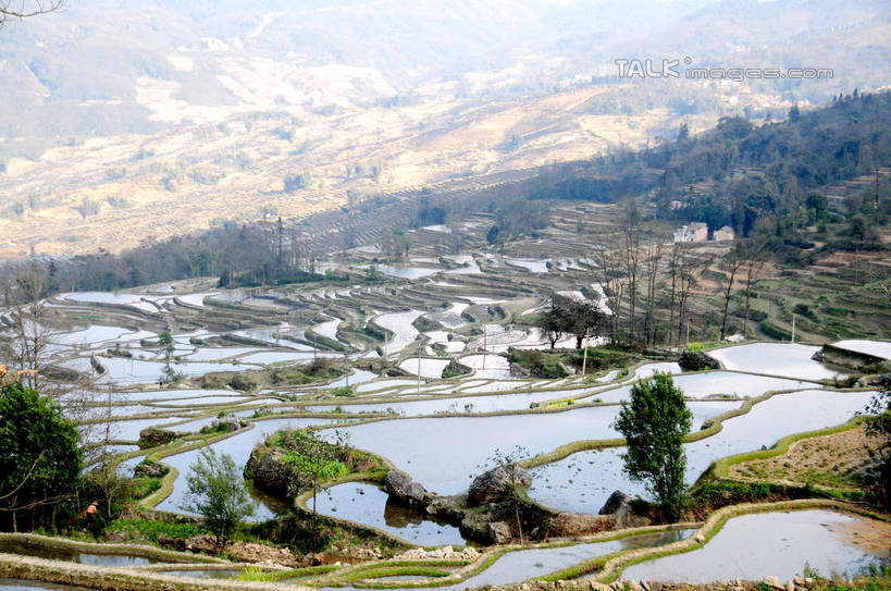 无人,农田,横图,俯视,航拍,室外,白天,旅游,度假,庄稼,梯田,农作物,美景,山,山脉,植物,中国,亚洲,阴影,曲折,弯曲,光线,影子,景观,山峰,山峦,娱乐,云南,树,树木,绿色,阳光,自然,群山,享受,休闲,景色,放松,蜿蜒,生长,成长,鸟瞰,自然风光,东亚,元阳,云南省,箐口村,中华人民共和国,西南地区,滇,红河,红河州,红河哈尼族彝族自治州,元阳县,彩图,高角度拍摄,耕地,庄稼田,箐口,新街镇,shsgf1