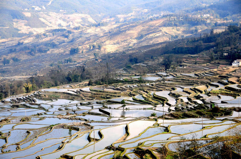 无人,农田,横图,俯视,航拍,室外,白天,旅游,度假,庄稼,梯田,农作物,美景,山,山脉,植物,中国,亚洲,阴影,曲折,弯曲,光线,影子,景观,山峰,山峦,娱乐,云南,树,树木,绿色,阳光,自然,群山,享受,休闲,景色,放松,蜿蜒,生长,成长,鸟瞰,自然风光,东亚,元阳,云南省,箐口村,中华人民共和国,西南地区,滇,红河,红河州,红河哈尼族彝族自治州,元阳县,彩图,高角度拍摄,耕地,庄稼田,箐口,新街镇,shsgf1