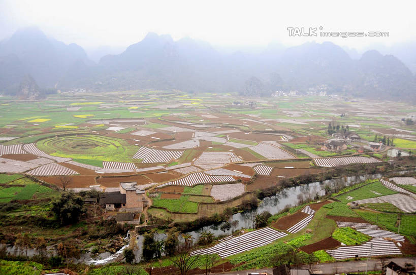 无人,家,农田,横图,俯视,航拍,室外,白天,旅游,度假,庄稼,农作物,草地,草坪,美景,山,山脉,植物,雾,中国,亚洲,朦胧,模糊,房屋,屋子,景观,山峰,山峦,娱乐,楼房,住宅,草,树,树木,绿色,天空,自然,群山,天,享受,休闲,景色,放松,生长,成长,迷雾,鸟瞰,自然风光,东亚,贵州,贵州省,万峰林,兴义市,马岭河峡谷,中华人民共和国,黔,西南地区,黔西南,黔西南州,黔西南布依族苗族自治州,大雾,彩图,高角度拍摄,耕地,庄稼田,房子,马岭河大峡谷,兴义,shsgf1